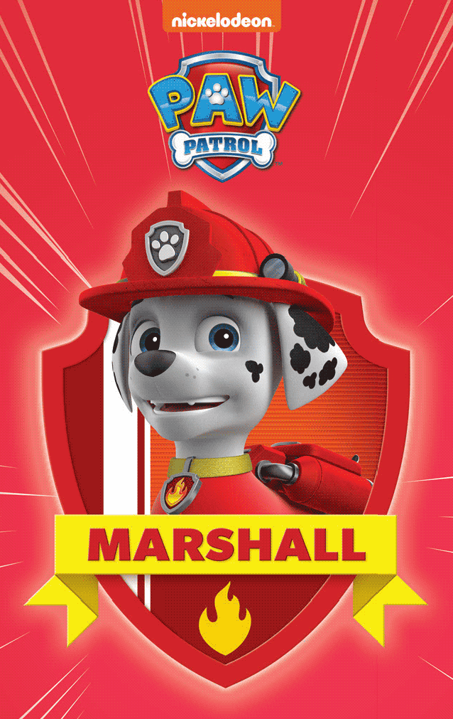 PAW Patrol Pup Pack (VMH7)