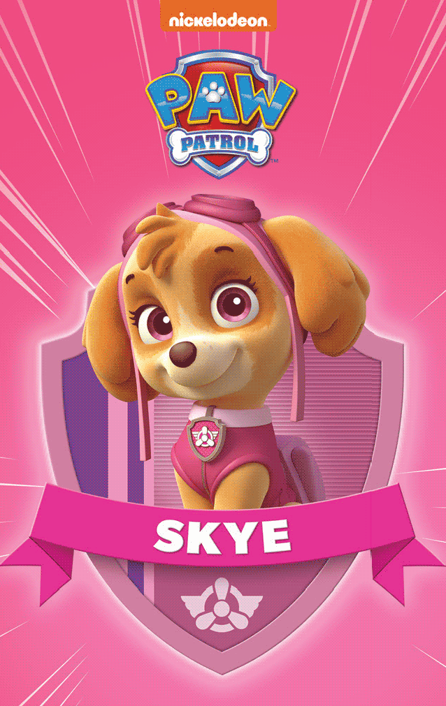 PAW Patrol Pup Pack (VMH7)