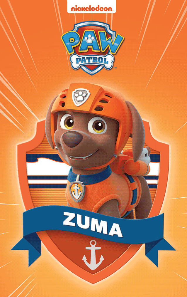 PAW Patrol Pup Pack (VMH7)